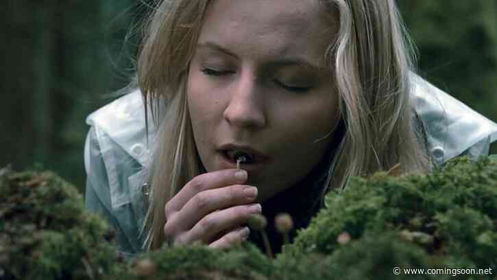 Magnolia Selects February 2022 Schedule: New Film Additions