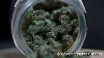 Cannabis-Legalisierung: In Fulda könnte es bald eine große Plantage geben - Fuldaer Zeitung