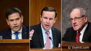 Lawmakers emerge from Russia-Ukraine briefings bracing for invasion