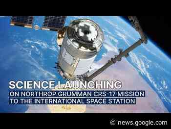 Science Launching on Northrop Grumman CRS-17 Mission to the Space Station - NASA