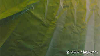 Tauba Auerbach's Architecture of Connectivity - frieze.com