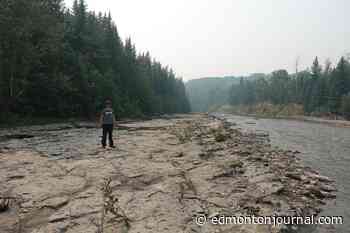 New fossil site featuring at least three types of dinosaurs found near Grande Prairie