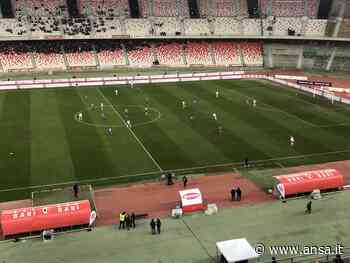 Calcio: Bari-Catania 3-3 - Ansa