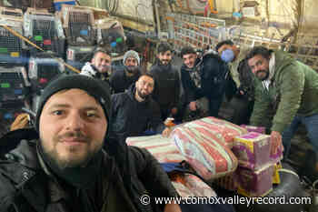 Hundreds of animals evacuated from Afghanistan land in Vancouver – Comox Valley Record - Comox Valley Record