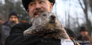 Punxsutawney Phil saw his shadow — prepare for 6 more weeks of winter