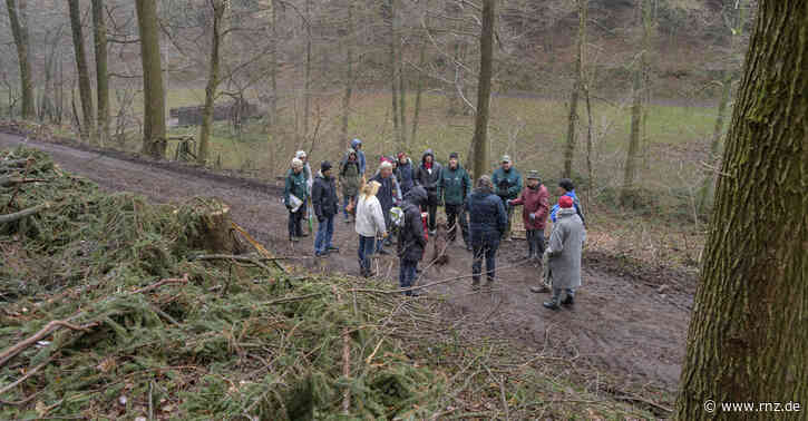 Heidelberg:  Im Handschuhsheimer Mühltal wird weiter gefällt