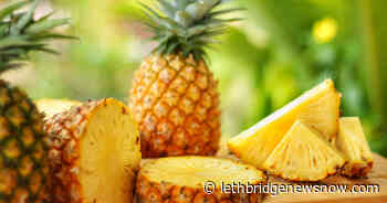 The Golden Age Pineapple Rentals - Lethbridge News Now