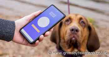 New app developed to track missing dogs by their 'snout print' - Grimsby Live