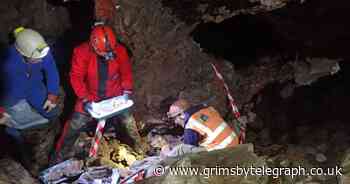 Ancient beasts including woolly mammoth found under new-build town - Grimsby Live