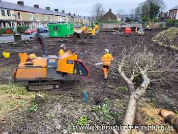 'Faith in humanity restored' as council agree to replace unlawfully felled trees in Darwen