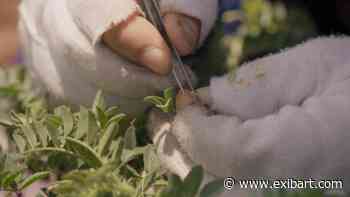 ‘Le 3 ecologie’: undici artisti al MACTE, Termoli - ExibArt