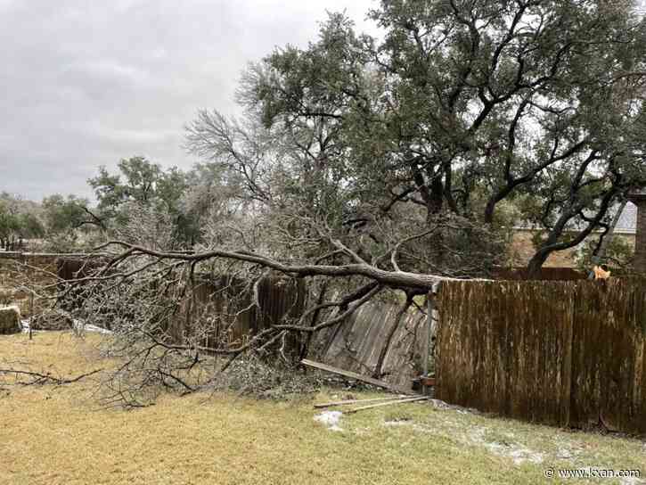 Ice storm results in downed trees across Central Texas