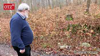 „Eine Schweinerei ist das“: Übler Fund im Tautenburger Forst