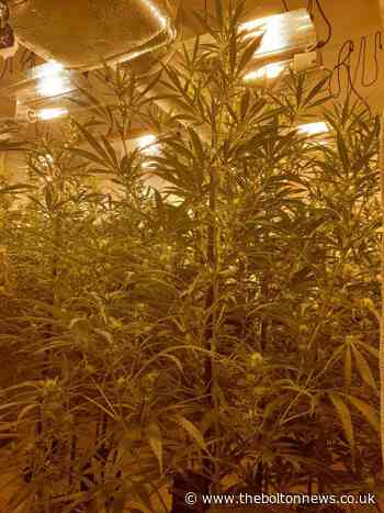 Three Bolton cannabis farmers jailed after working to repay 'immigration debt'