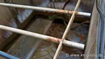 In 32 Metern Tiefe: Fünfjähriger Rayan in Marokko seit Tagen in Brunnen eingeschlossen