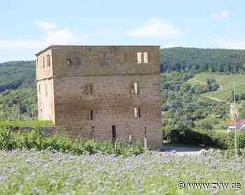Die Yburg in Kernen leuchtet wieder - Kernen - Zeitungsverlag Waiblingen