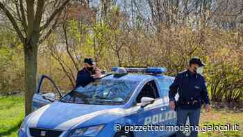 Modena. Aizza il cane sugli avversari La polizia sequestra l’animale - La Gazzetta di Modena