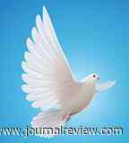 Rosemary Munson Turchi - Journal Review