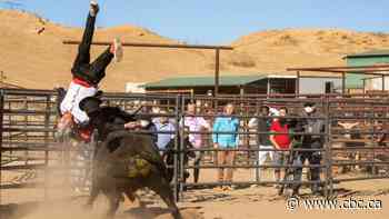 Jackass Forever is chaotic, dumb — and nearly perfect