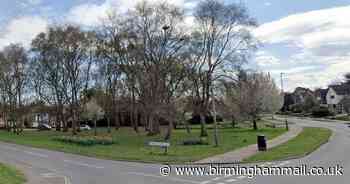 Three 5G mast on ‘treasured’ Sutton Coldfield green space decision branded ‘absolute disgrace’ - Birmingham Live