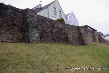 Reichenbachs Stadtmauer erfährt bei Führungen Aufmerksamkeit - Freie Presse