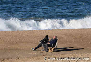 Experts hopeful about Omicron’s end but wary about what lies ahead - Quesnel Cariboo Observer