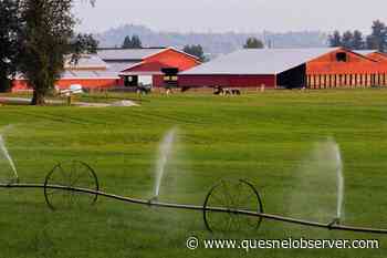 Deadline approaches for BC irrigation, commercial water licences – Quesnel Cariboo Observer - Quesnel - Cariboo Observer