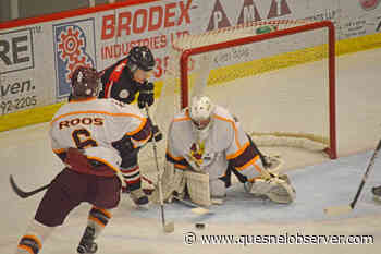 Quesnel Kangaroos split weekend games – Quesnel Cariboo Observer - Quesnel - Cariboo Observer