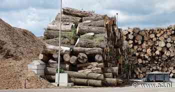 Milieugroepen dagen Brussel: 'Opstoken van bossen is geen klimaatbijdrage' - AD.nl