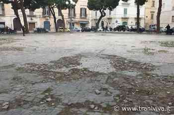 Riqualificazione di piazza Gradenigo: i risultati del concorso di progettazione - TraniViva