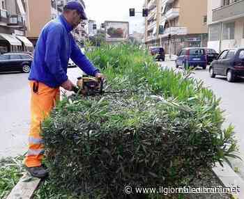 «Trani, c'era una volta il verde pubblico»: Branà (M5s) svela i dati della relazione dell'agronomo - ilgiornaleditrani - Radio Bombo