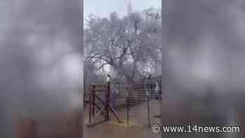 Watch: Ice pulls large tree branch down in Dawson Springs - 14 News WFIE Evansville