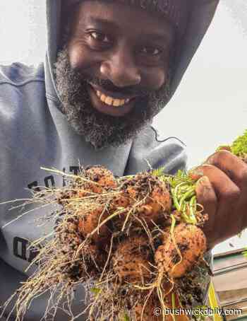 Conversations with Neighbors: Meet Your Local Gardener, Macques Thomas - bushwickdaily.com