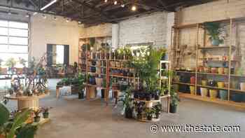 Longtime Columbia garden center expands to new part of the city - The State