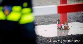 'Ontvoerder van Dean (4) ging door het lint omdat vriendin zich niet snel genoeg aankleedde' - De Gelderlander