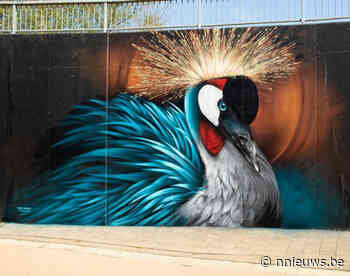 Graffitiwerk fietstunnels Mol opnieuw genomineerd voor award | Nieuws dat je raakt. 24/24u – Nnieuws.be - Nnieuws.be