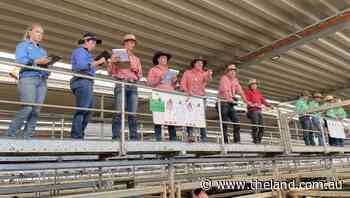 Angus females sold to $5360 at Wodonga - The Land Newspaper