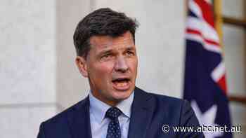 Angus Taylor says the carbon tax destroyed one in eight manufacturing jobs. Is he correct? - ABC News