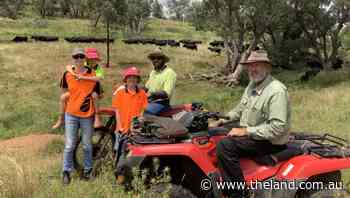 Angus is a perfect fit for the Job family - The Land Newspaper