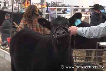 Angus Show kicks off Monday at Black Hills Stock Show - KNBN NewsCenter1 - Newscenter1.tv