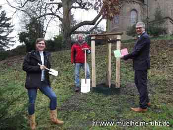Westenergie und Stadt Mülheim an der Ruhr pflanzen Klimabäume