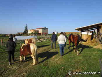 Canossa, la coop Laboratorio Lesignola apre le porte al Servizio Civile Universale - Redacon