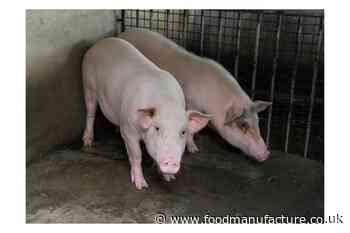 Browns Food Group acquires Quality Pork Processors in Brechin