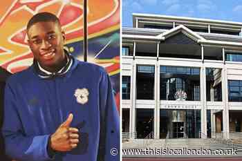 Ibrahim Meite: Stab attack on man was ‘pre-meditated'