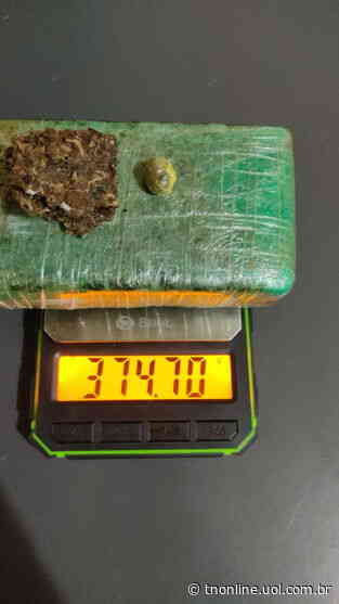 Cão de faro localiza maconha às margens de lago de Faxinal - TNOnline - TNOnline