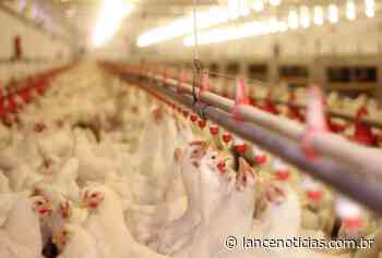 BRF oferece 50 vagas de emprego em Faxinal dos Guedes e Ponte Serrada - Lato