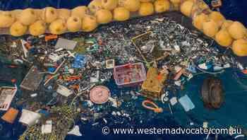 2022 must see action to save oceans:EU - Western Advocate