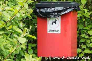 Reaction to 'disgusting' problem of dog litter left on streets - St Helens Star