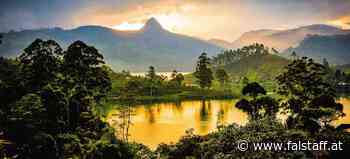 Sri Lanka: Kulinarisches Insel-Paradies