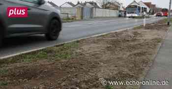 10 000 Euro für einen Bürgerdialog in Trebur - Echo Online